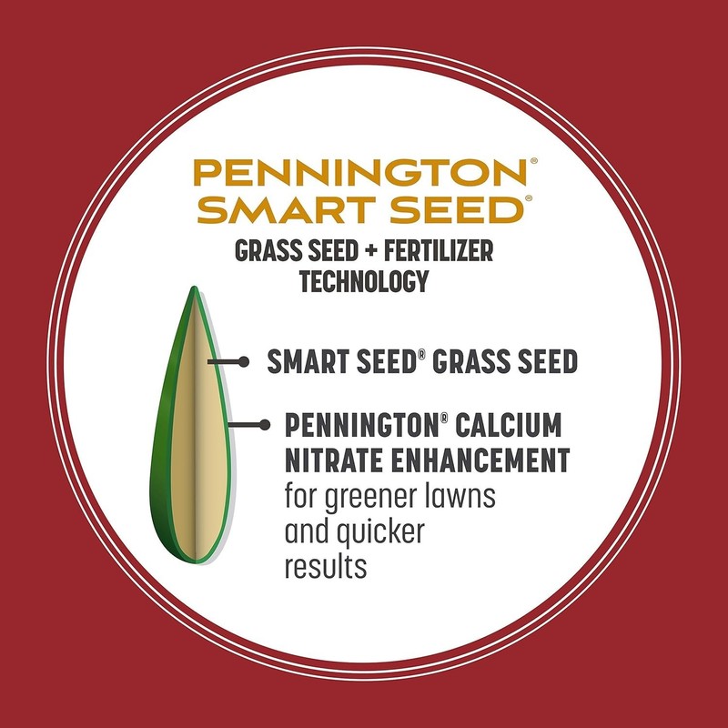 Smart Seed Perennial Ryegrass 3 lb gallery