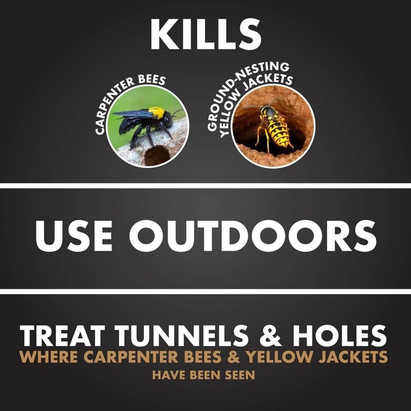 Carpenter Bee and Yellow Jacket Insect Killer 16oz Foaming Aerosol (2 Pack) gallery