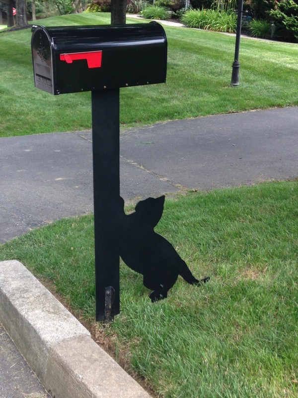Mailbox Post Expressions gallery