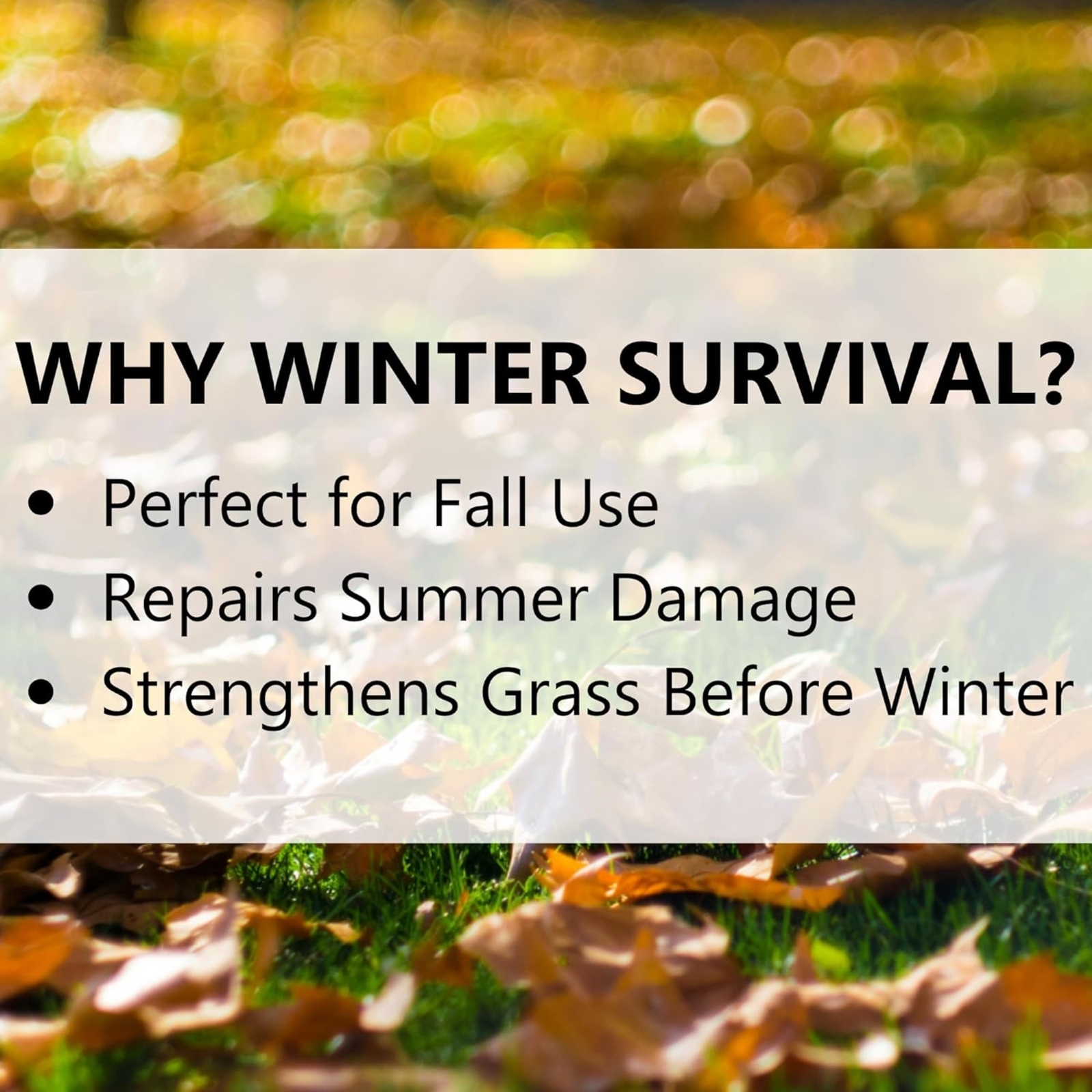 Jonathan Green Winter Survival Fall Lawn Food, 15M (15,000 sq ft Coverage) gallery