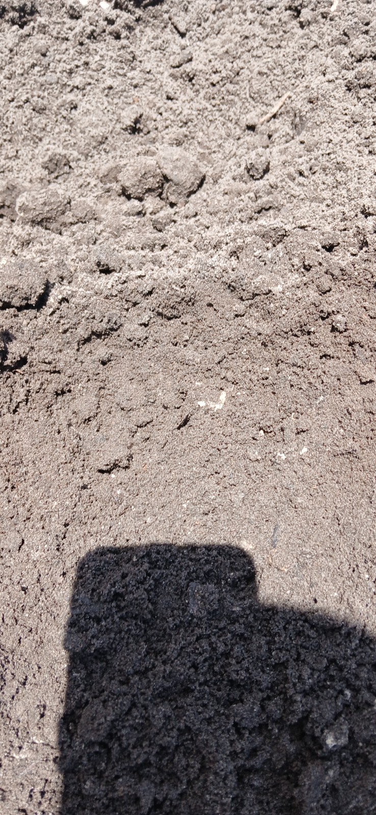 Bulk Loose Topsoil for Outdoor Landscaping, Gardening, Nw Florida 35lb bag gallery