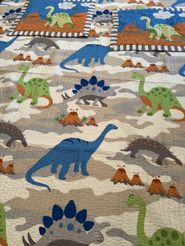 MiZone Kid’s Dinosaur/Reversible Full/Queen Comforter & 2 Shams Set gallery