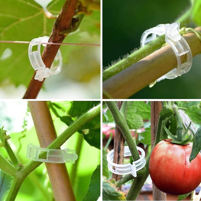 100 Pcs Durable White Tomato Clips - Essential Garden Support for Healthy Growth gallery