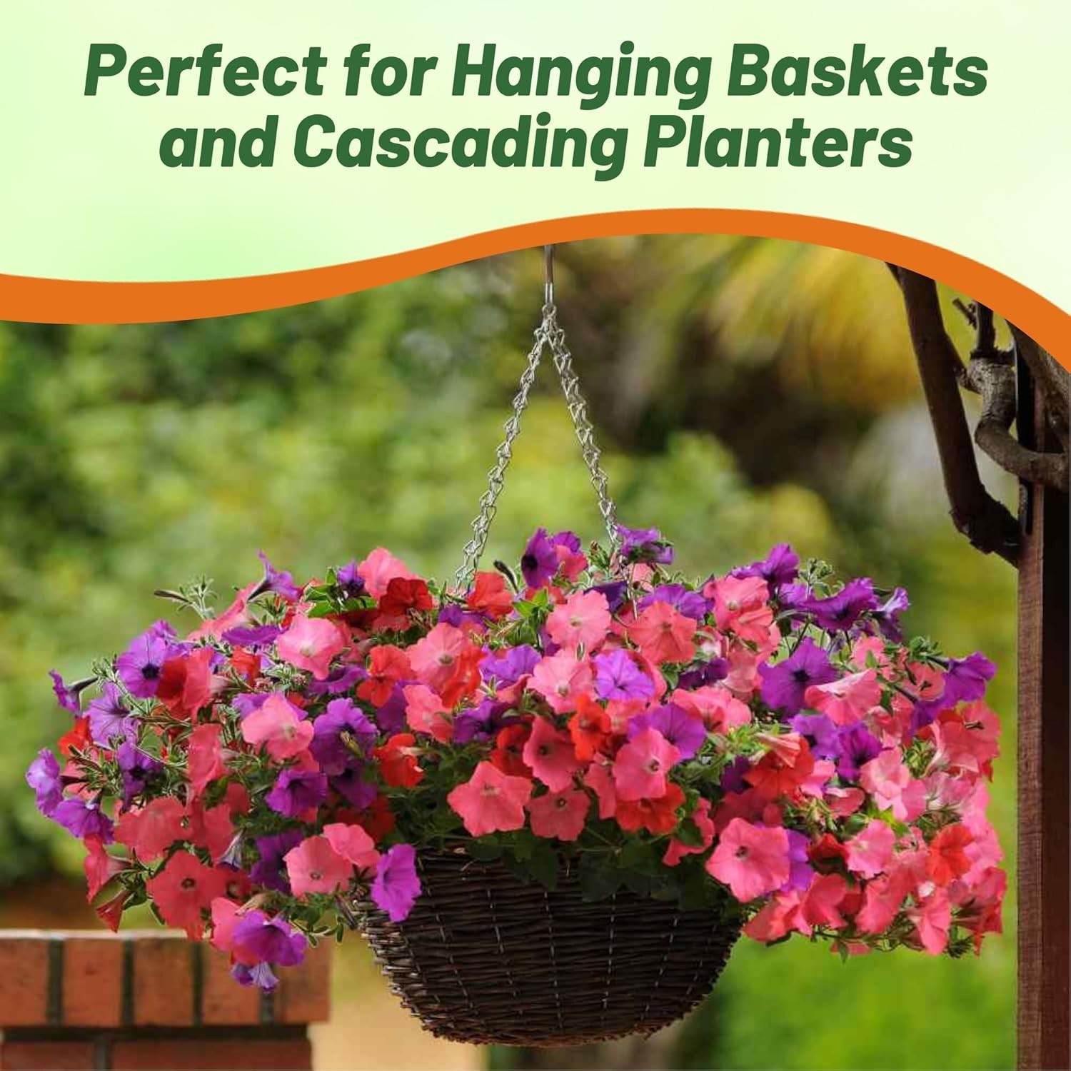 15 Seeds Easy Wave Spreading Petunia South Beach Garden Flower Mix gallery