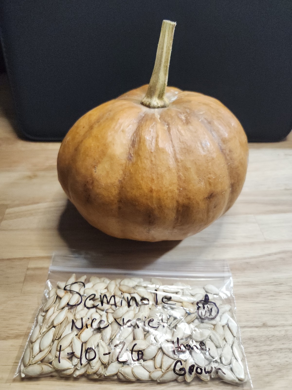 10 Seminole Pumpkin Seeds - Heirloom --- Food Security -- NON GMO Florida Grown gallery