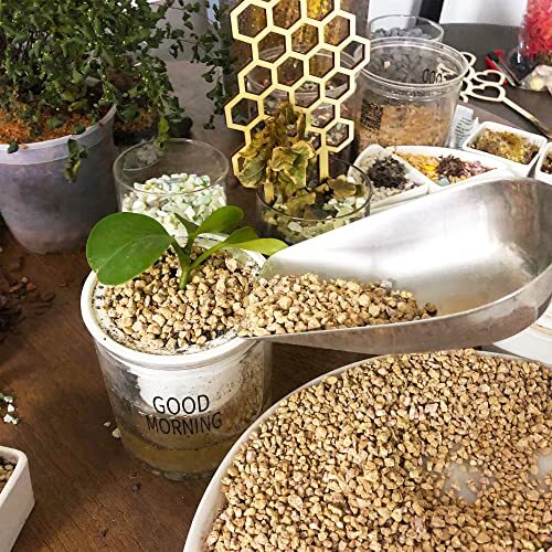 Mix Rocks for Plants Indoor, Potting Soil and Vase Fillers, Top Dressing, 3 lbs gallery