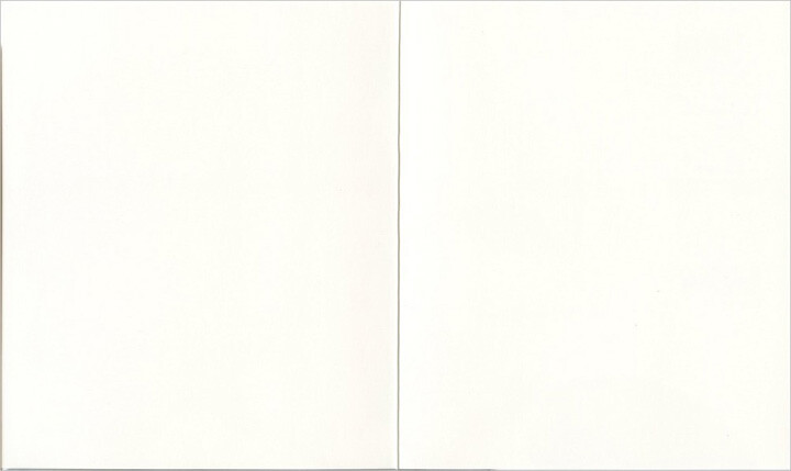 Notes & Queries White Blue and Brown Magnolia Blank Note Card gallery