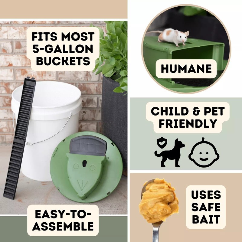 Humane Mouse Rat Trap, 3PACK Rats Trap Bucket Lid Catcher with Ramp Mousetraps gallery