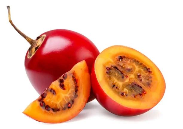 1000++ Exotic Tree Tomato Seedss (Solanum betaceum) var. Red Tamarillo gallery