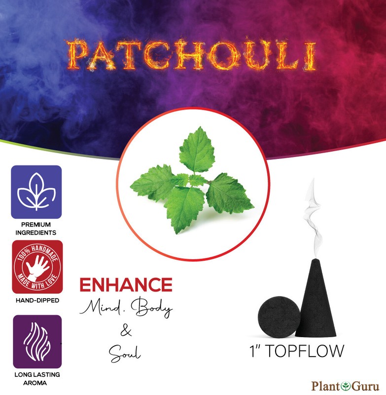 Patchouli Charcoal Incense Cones 1" TOPFLOW Bulk Wholesale For Burner Holder gallery