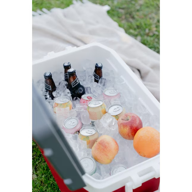 Igloo Latitude Red/gray 52 Quart(s) Hard Insulated Chest cooler-SALE gallery