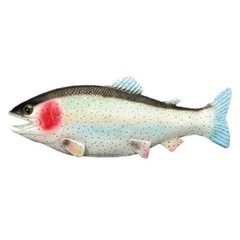 Fake Fish