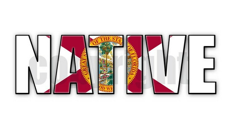 Florida Native Flag Stickers Florida Flag Decals Florida Flag Stickers gallery