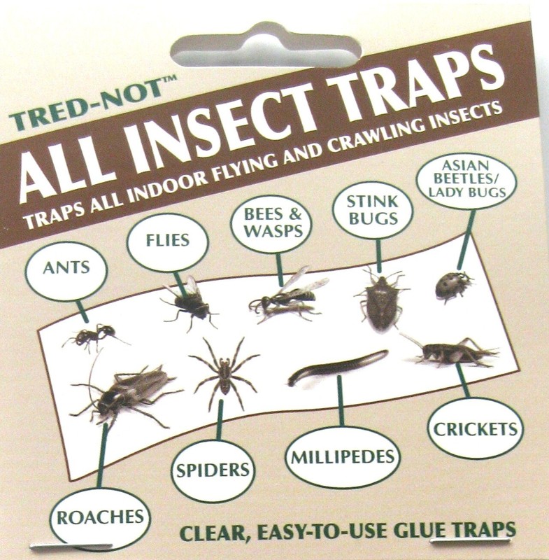 8 pk Fly Trap / Strip / Tray. Window / Floor. Catch flying, crawling insects gallery