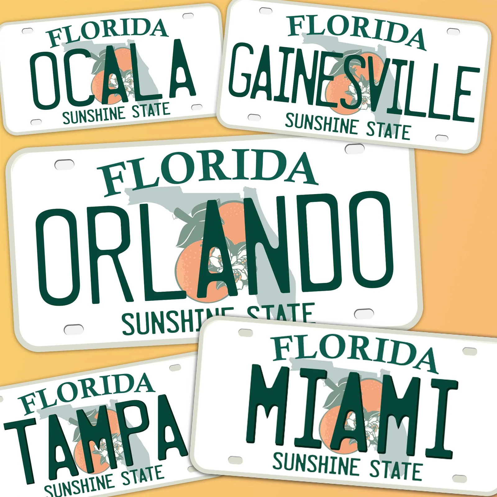 Florida License Plate Stickers - Choose Your FL City gallery