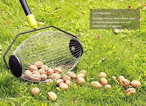 ORIENTOOLS Nut Gatherer Garden Rolling Nut Harvester Picks up Balls Pecans, etc. gallery