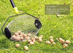 ORIENTOOLS Nut Gatherer Garden Rolling Nut Harvester Picks up Balls Pecans, etc.