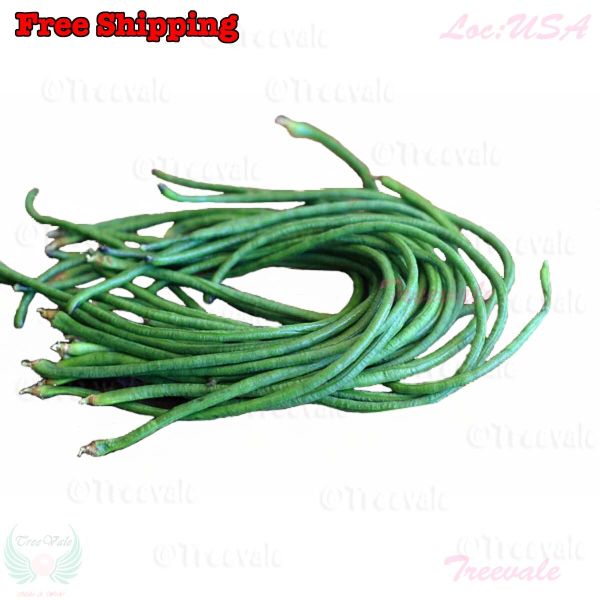 DARK GREEN Yardlong Bean, Asparagus Bean, Snake Bean, Chinese Long Bean Seeds gallery