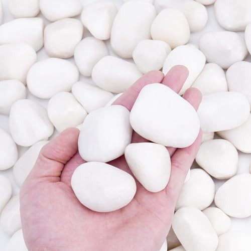 18lbs Rocks for Plants Indoor, 1-2 inch Decorative Garden White 18.0 Pounds gallery