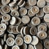 Jiffy Peat Pellets 25mm Seed Starting 1 Case 3,312 Pods Seed Starter Plugs, Bulk gallery