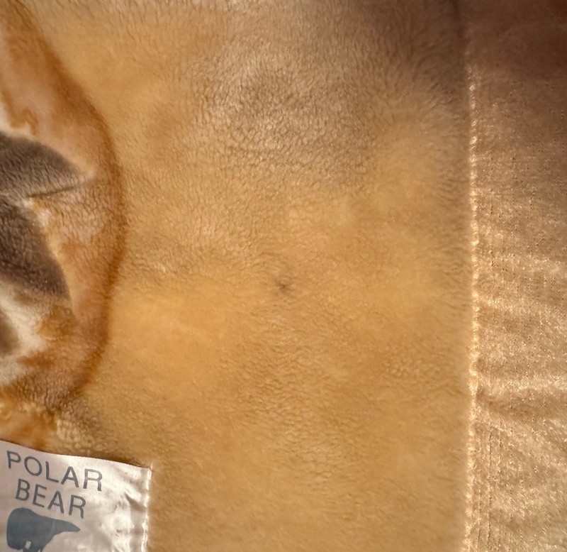 Mink Blanket Spain Plush Heavyweight Clipper Ship Floral Double Sided Polar Bear gallery