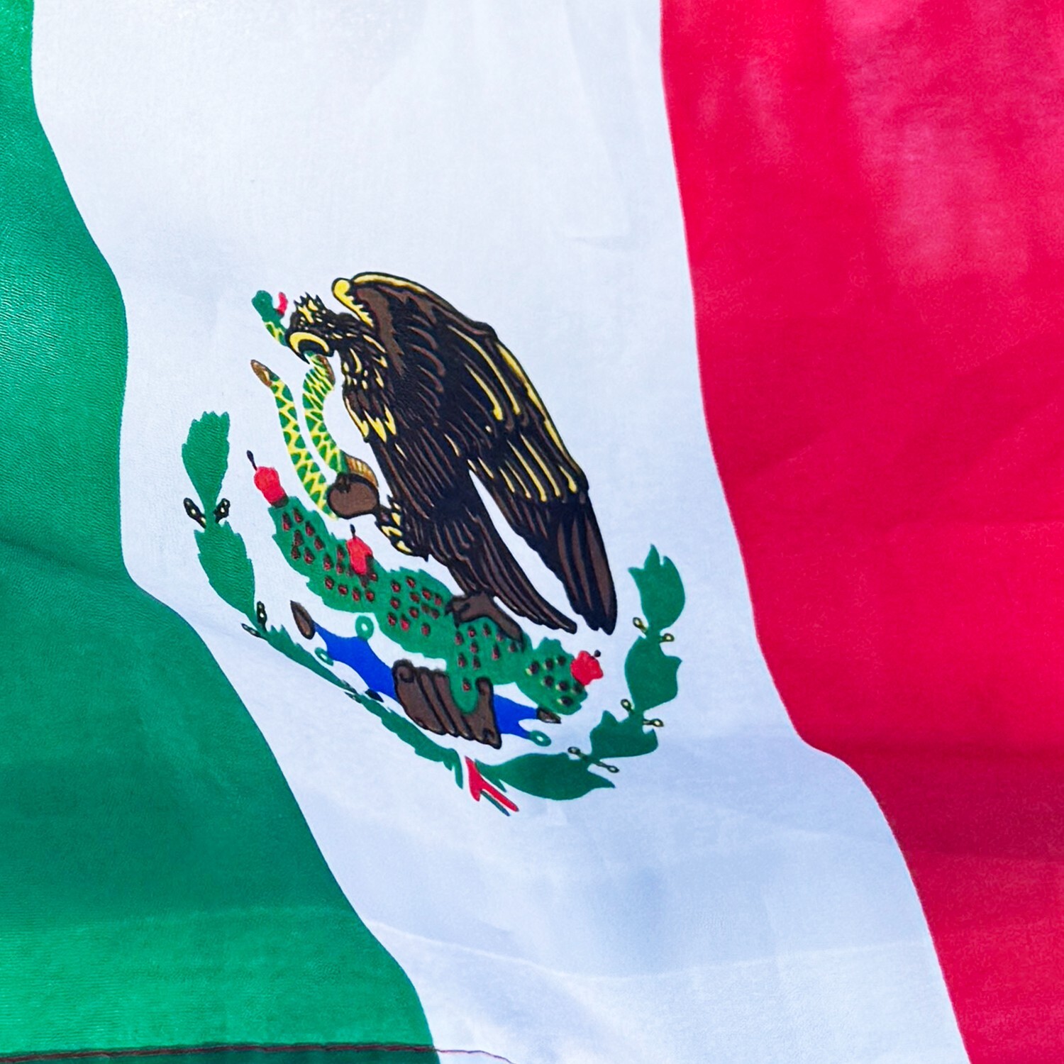 2 PACK MEXICO CAR AUTO DEALER SUPPLIES Window Clip On Flags Sale Flag gallery