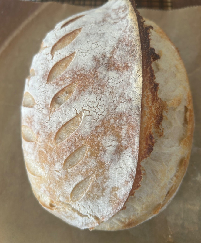 Sourdough Bread Rustic Organic Loaf- Long fermented Homemade Artisan gallery