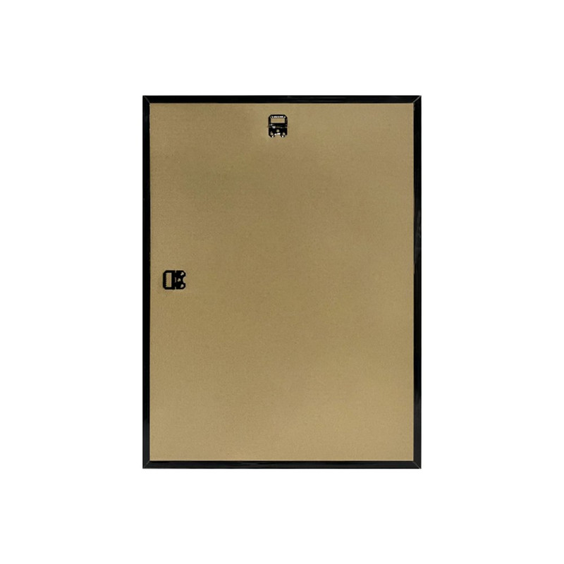 LARGE PICTURE FRAMES Posters Prints 16x20, 18x24, 22x28, 24x36, 27x40 gallery