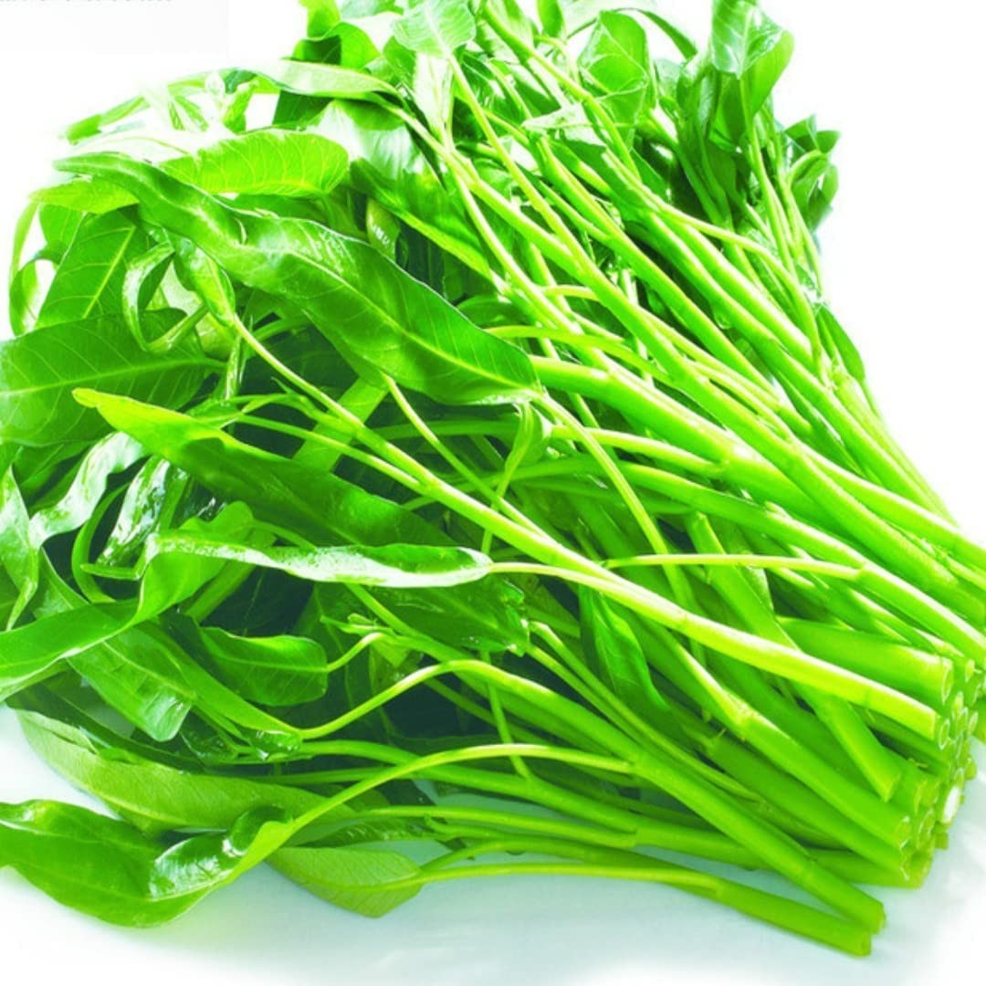 Kangkong Seeds Green Vegetable Non GMO Organic Heirloom Made in USA Muong- Choy gallery