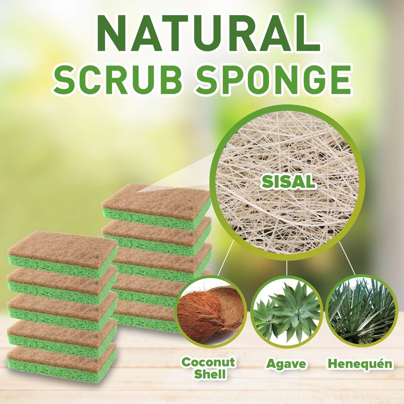SCRUBIT 24 Pack Natural Sponges - Biodegradable 24 Count (Pack of 1), Green gallery