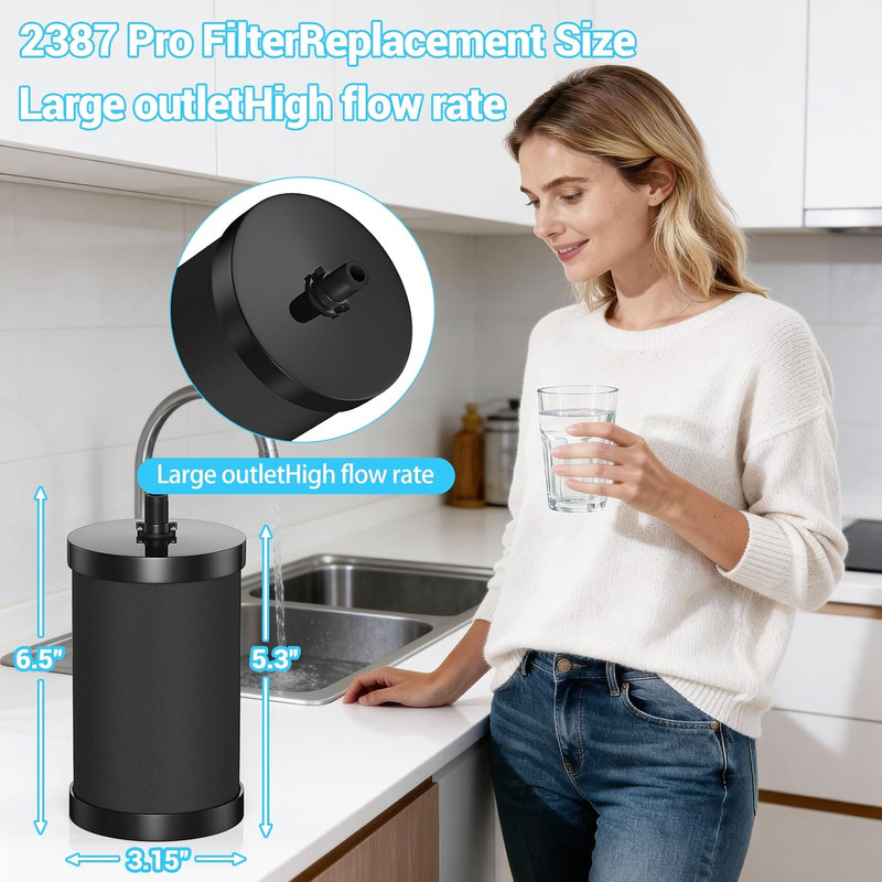 2387 Pro Replacement Water Filter Compatible with Alexapure Systems - 2 Filte... gallery