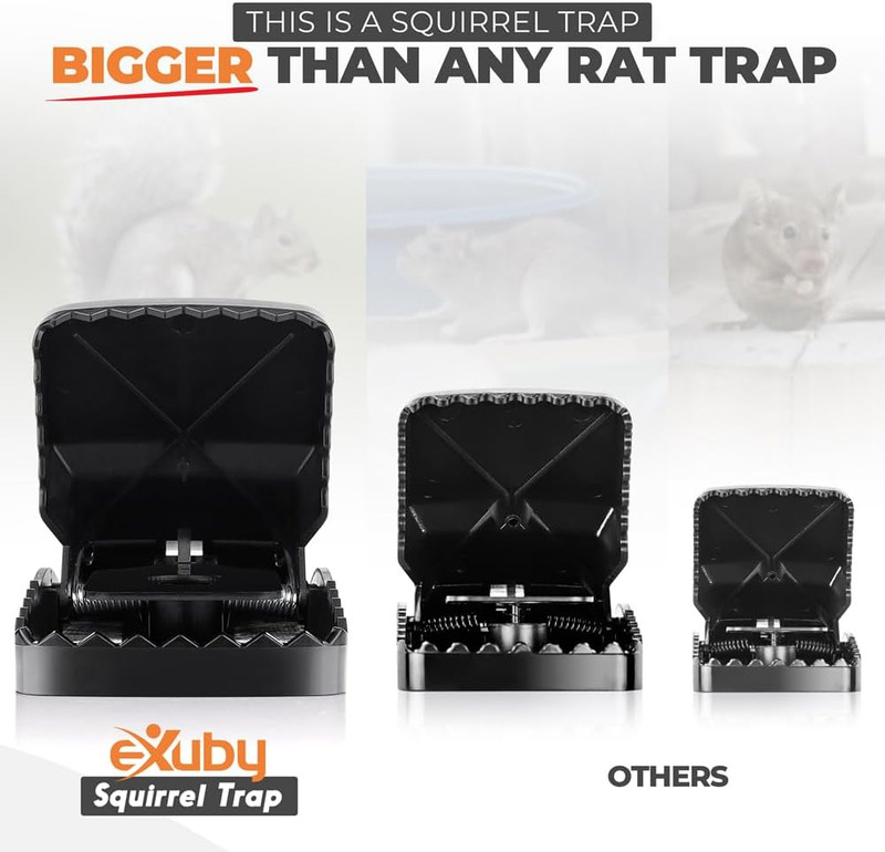 Squirrel Trap (2 Pack) - Consistent & Humane Kill Every Time with no Failures - gallery