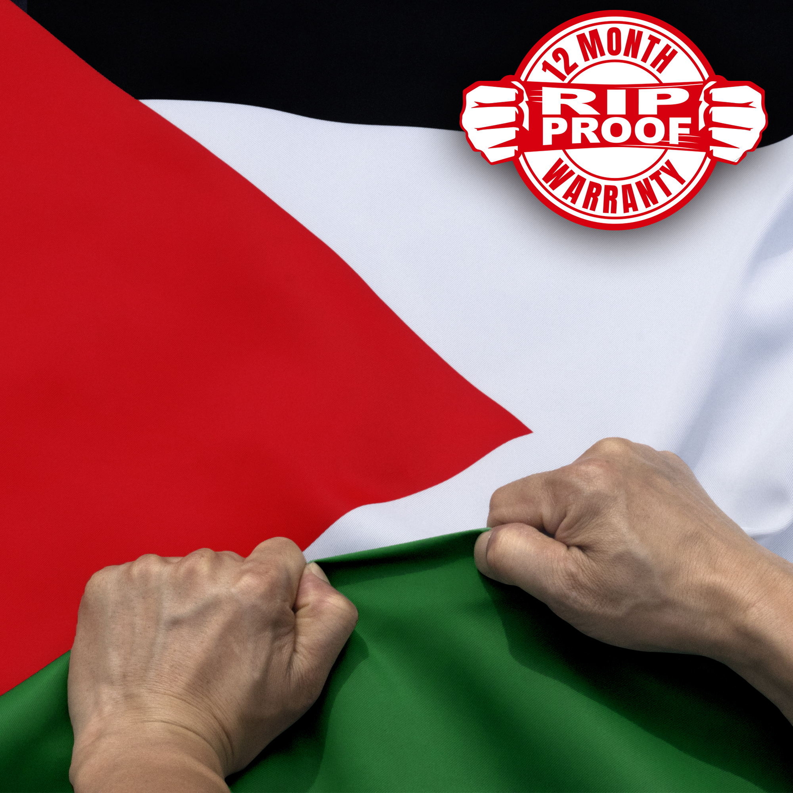 Anley 3x5 Ft Palestine Flag Rip-Proof Double Sided Palestinian National Flags gallery