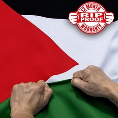 Anley 3×5 Ft Palestine Flag Rip-Proof Double Sided Palestinian National Flags