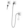 BESTCARE WHCHS Shower Sys,Flat Circle 55AF79 gallery