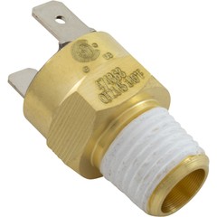 Automatic Gas Shutoff Switch, Pentair MasterTemp 125