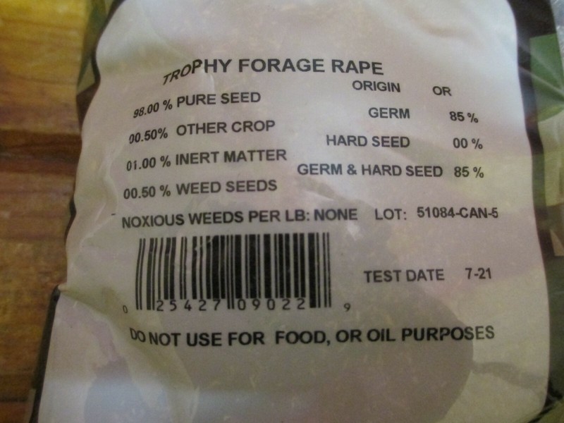 10lbs TROPHY FORAGE RAPE SEED Food Plot Seed For Deer Turkey Excellent No Till gallery