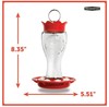 Pennington Glass Hummingbird Feeder, 16 Oz Nectar Capacity gallery