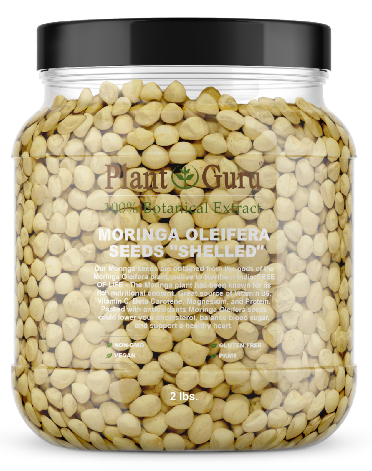 2500 Moringa Oleifera Seeds Kernel 2 lbs. Jar Bulk SHELLED Fresh gallery