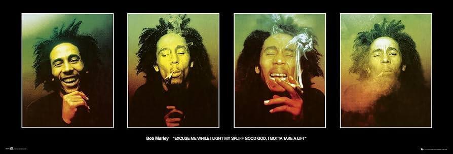 Bob Marley Poster, Excuse Me While I Light My Spliff 12x36 Legend Art Music Icon gallery