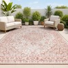 Boho Medallion Indoor Outdoor Area Rug 3X5 Red/Taupe, Rozetta Textured Weave ... gallery