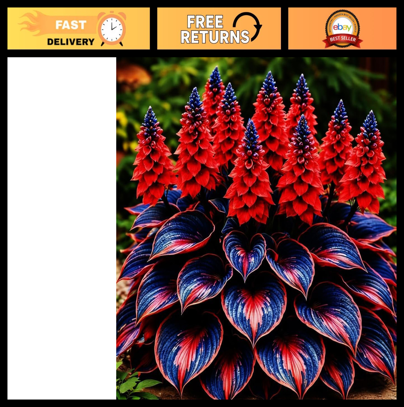 Hosta Bulb - Soft Green Foliage for Shaded Gardens, Perfect Shade Plant (Color 4 gallery