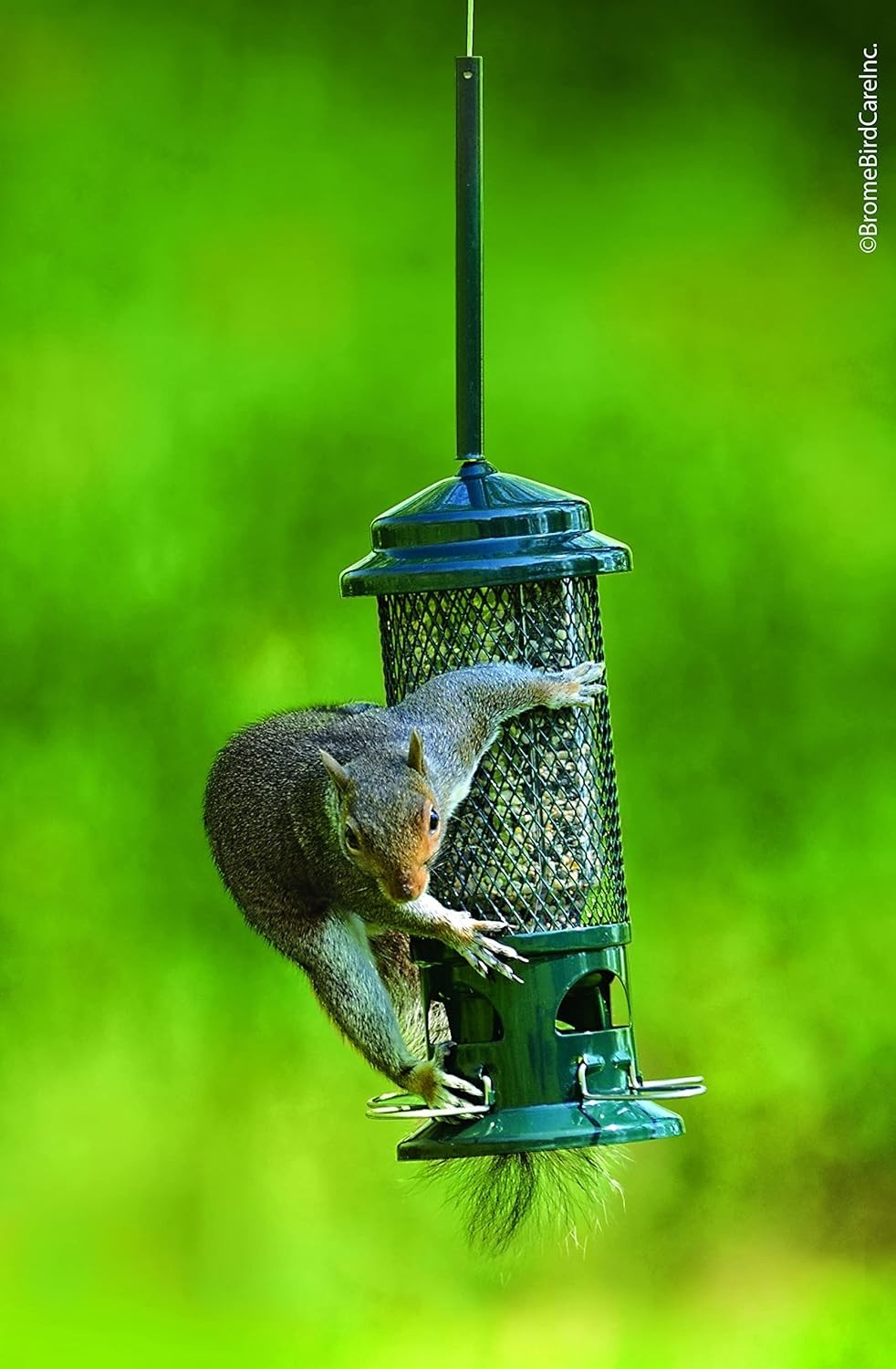 NEW! Brome Squirrel Buster Standard Bird Feeder 9073 Squirrel Proof Free Ships gallery