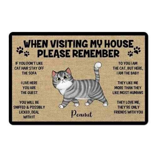 Please Remember When Visiting Cats House Cat Doormat Welcome Mat Cat gallery