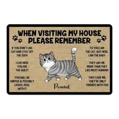 Please Remember When Visiting Cats House Cat Doormat Welcome Mat Cat
