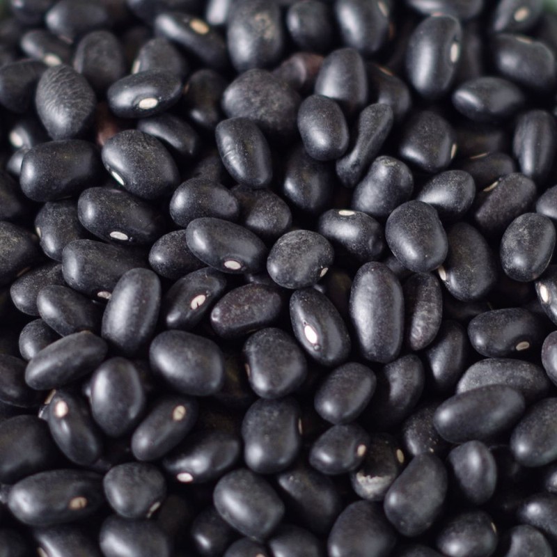 Black Turtle Bean Seeds, NON-GMO, Shelling Dry Bean, Frijoles Negros, FREE SHIP gallery