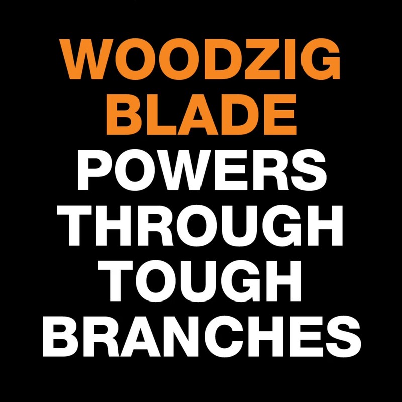Fiskars Extendable Tree Pruner and Pole Saw and Pruner with 7' to 12' Capacity gallery