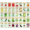 All-Ages Assorted Vegetable Seed Kit: 40 Non-GMO Packets & Guide Included gallery