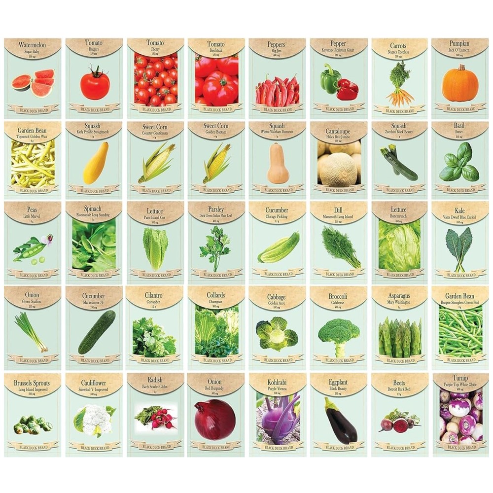 All-Ages Assorted Vegetable Seed Kit: 40 Non-GMO Packets & Guide Included