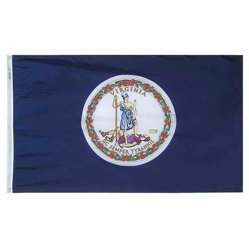 ANNIN Virginia State Flag 3' X 5' Nyl-Glo 100% Nylon Outdoor 145660 Boxed NEW gallery